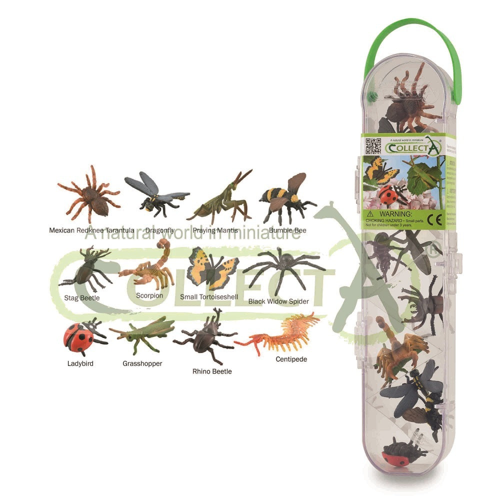 Collection Tube For Insects CollectA - Insects and Spider Tube – Play with Elorias